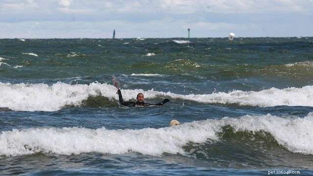 Poland’s 2nd Water Rescue Dog Cup: Heroes of the Baltic Sea