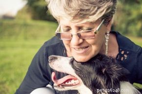 10 Remarkable Senses: How Dogs Detect More Than Humans