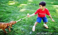 10 Engaging Games to Play with Your Kids and Dogs