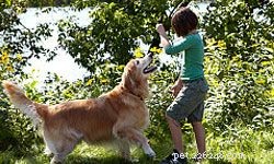 10 Engaging Games to Play with Your Kids and Dogs