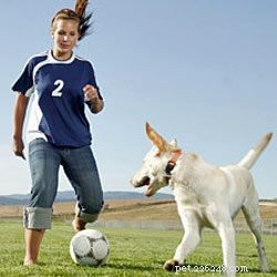 10 Engaging Games to Play with Your Kids and Dogs