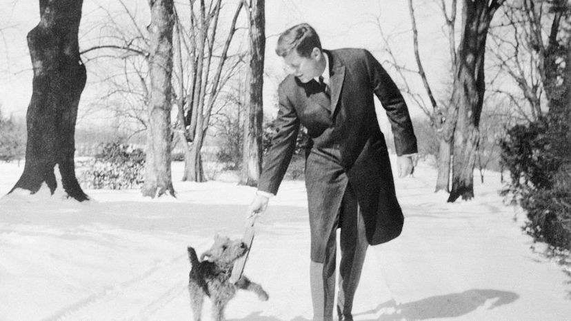 10 Legendary Dogs That Shaped History