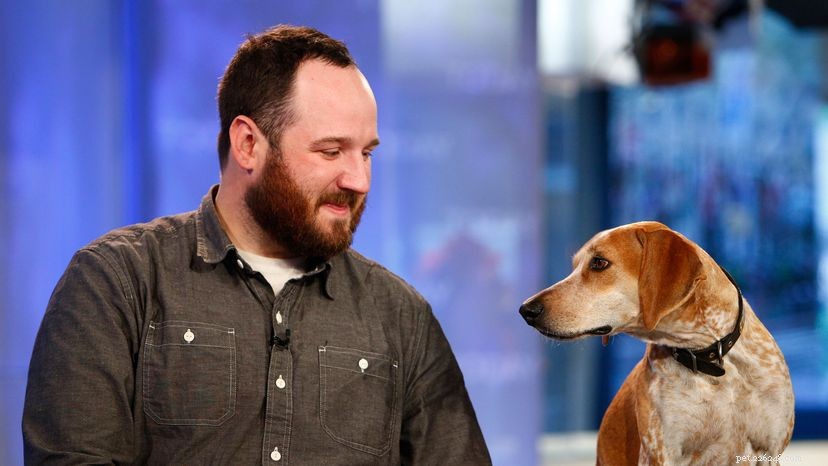 10 Legendary Dogs That Shaped History