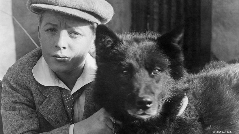 10 Legendary Dogs That Shaped History