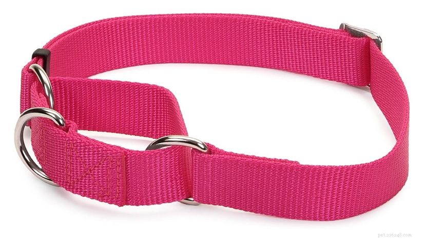 Why the Martingale Collar Is the Ideal Choice for You and Your Dog