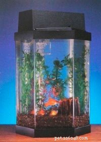 Aquarium Basics: The Essential Guide to a Healthy, Thriving Tank