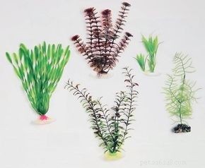 How to Choose the Right Aquarium Equipment: A Professional Guide