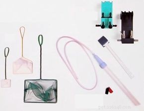 How to Choose the Right Aquarium Equipment: A Professional Guide