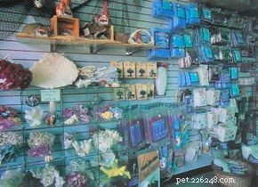 Expert Guide: Set Up Your Aquarium in Minutes