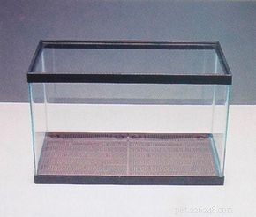 Expert Guide: Set Up Your Aquarium in Minutes