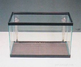 Expert Guide: Set Up Your Aquarium in Minutes