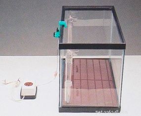 Expert Guide: Set Up Your Aquarium in Minutes