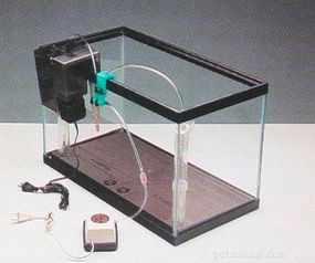 Expert Guide: Set Up Your Aquarium in Minutes
