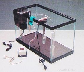 Expert Guide: Set Up Your Aquarium in Minutes