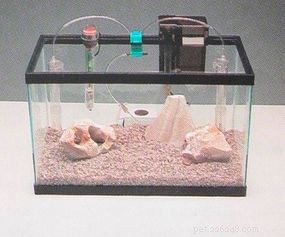 Expert Guide: Set Up Your Aquarium in Minutes