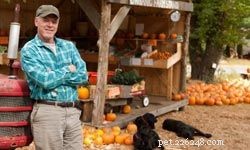 10 Essential Fruits & Vegetables for Optimal Canine Nutrition