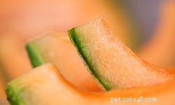 10 Essential Fruits & Vegetables for Optimal Canine Nutrition