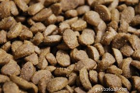 Essential Ingredients for Senior Dog Food: Tailored Nutrition for Your Aging Pet