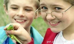 Top 10 Ideal Pets for First‑Time Families