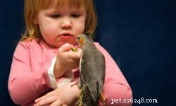 Top 10 Ideal Pets for First‑Time Families