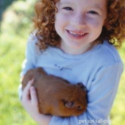 Top 10 Ideal Pets for First‑Time Families