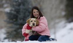 Top 10 Ideal Pets for First‑Time Families