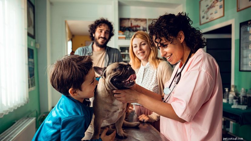 8 Essential Factors to Consider Before Purchasing Pet Insurance