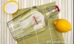 How Vinegar Enhances Pet Care: Tips for Cats, Dogs, Rabbits & More
