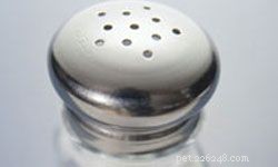 Salt: A Simple, Effective Tool for Pet Care & Flea Control