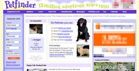 Petfinder 101: A Complete Guide to Finding and Adopting Pets Online