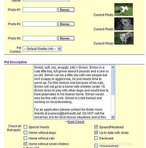 Petfinder 101: A Complete Guide to Finding and Adopting Pets Online