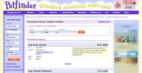Petfinder 101: A Complete Guide to Finding and Adopting Pets Online