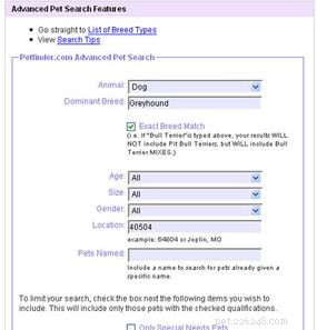 Petfinder 101: A Complete Guide to Finding and Adopting Pets Online