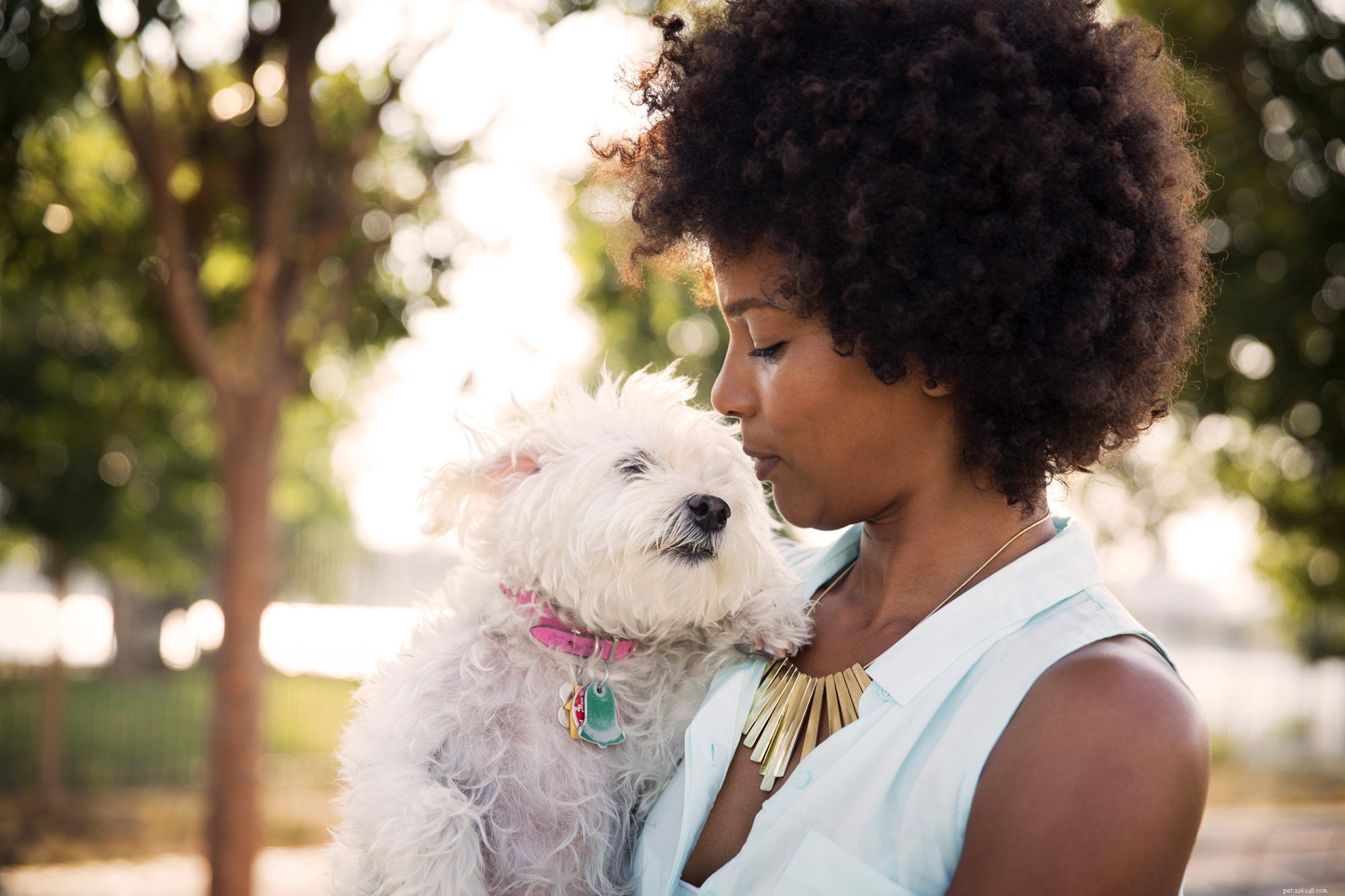 Top 100+ Classic Names for Senior Female Dogs: From Agnes to Winifred