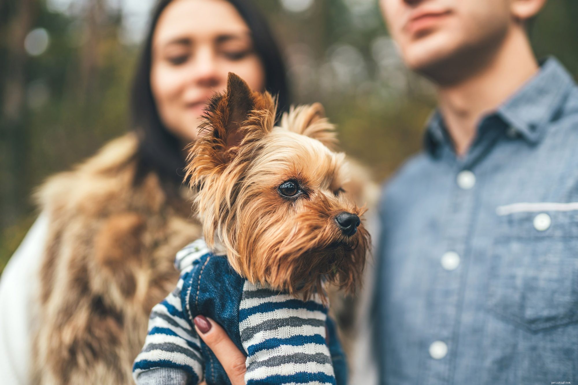 158 Distinctive Dog Names – Rare, Cool, and Unforgettable
