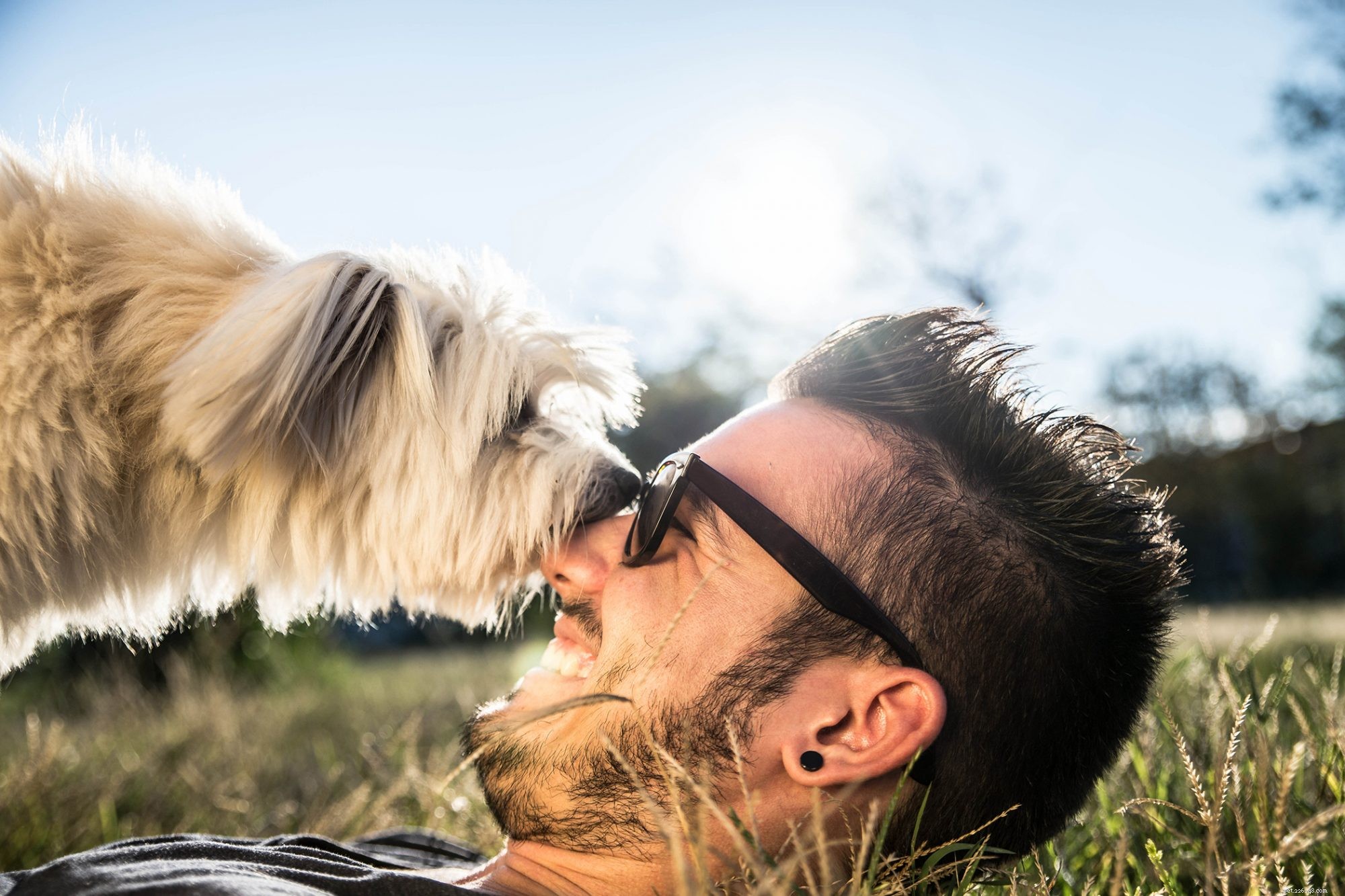A Comprehensive Guide for First‑Time Pet Parents: Adopting an Adult Dog