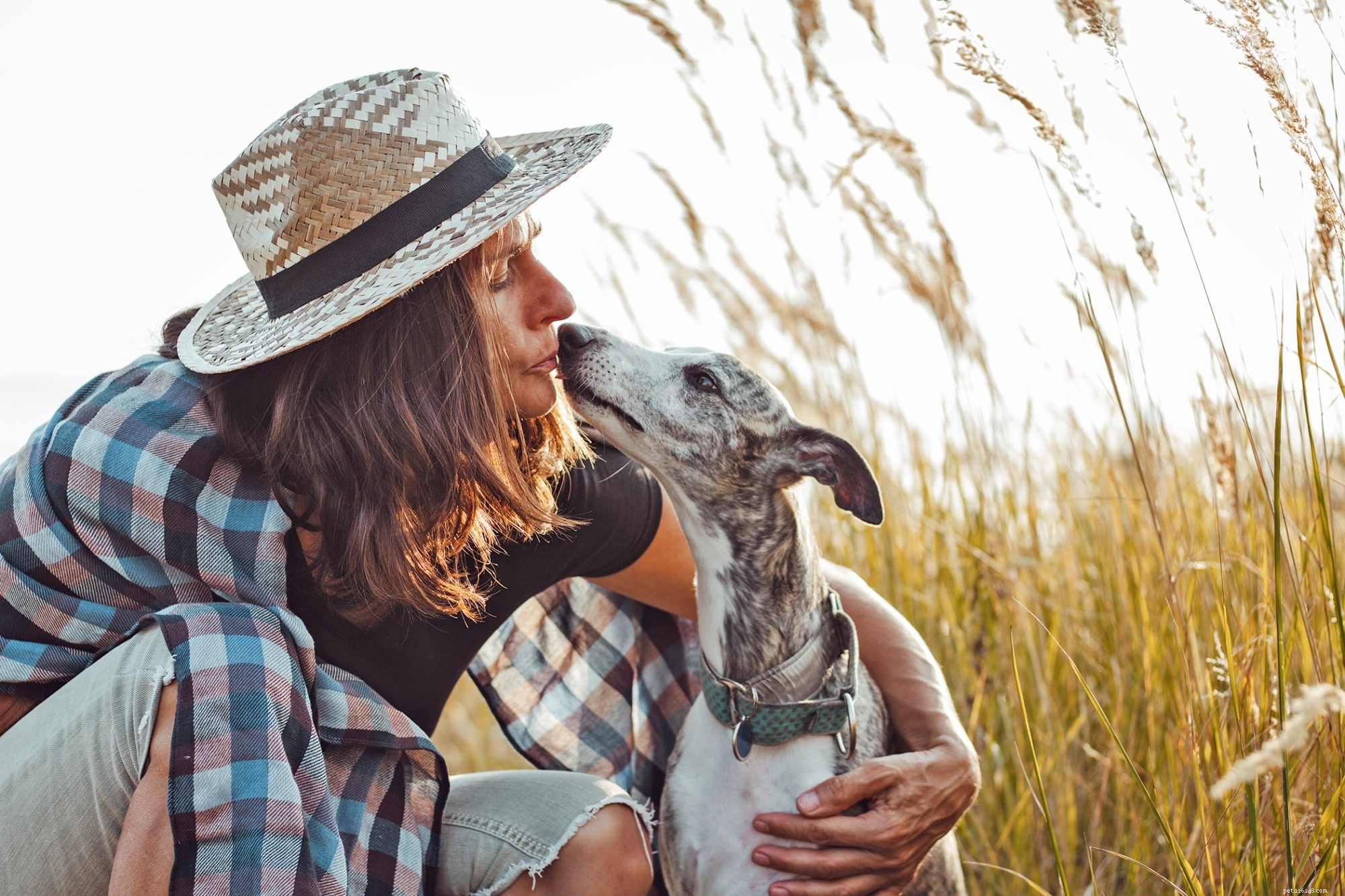 First-Time Dog Owners: 14 Ideal Breeds for a Successful Start