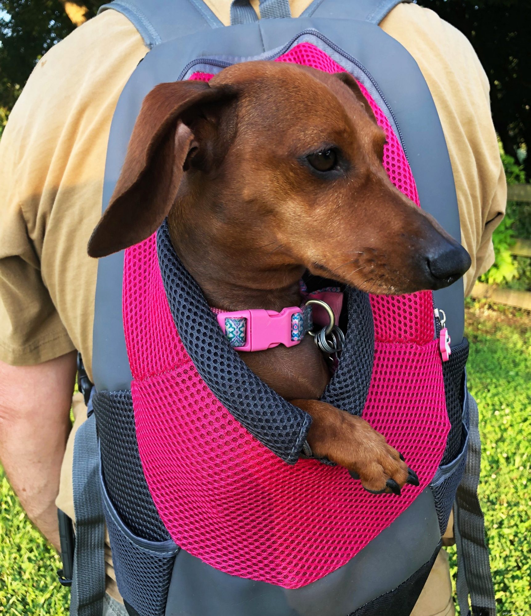 Why Rescuing My Dog Was My Most Rewarding Decision