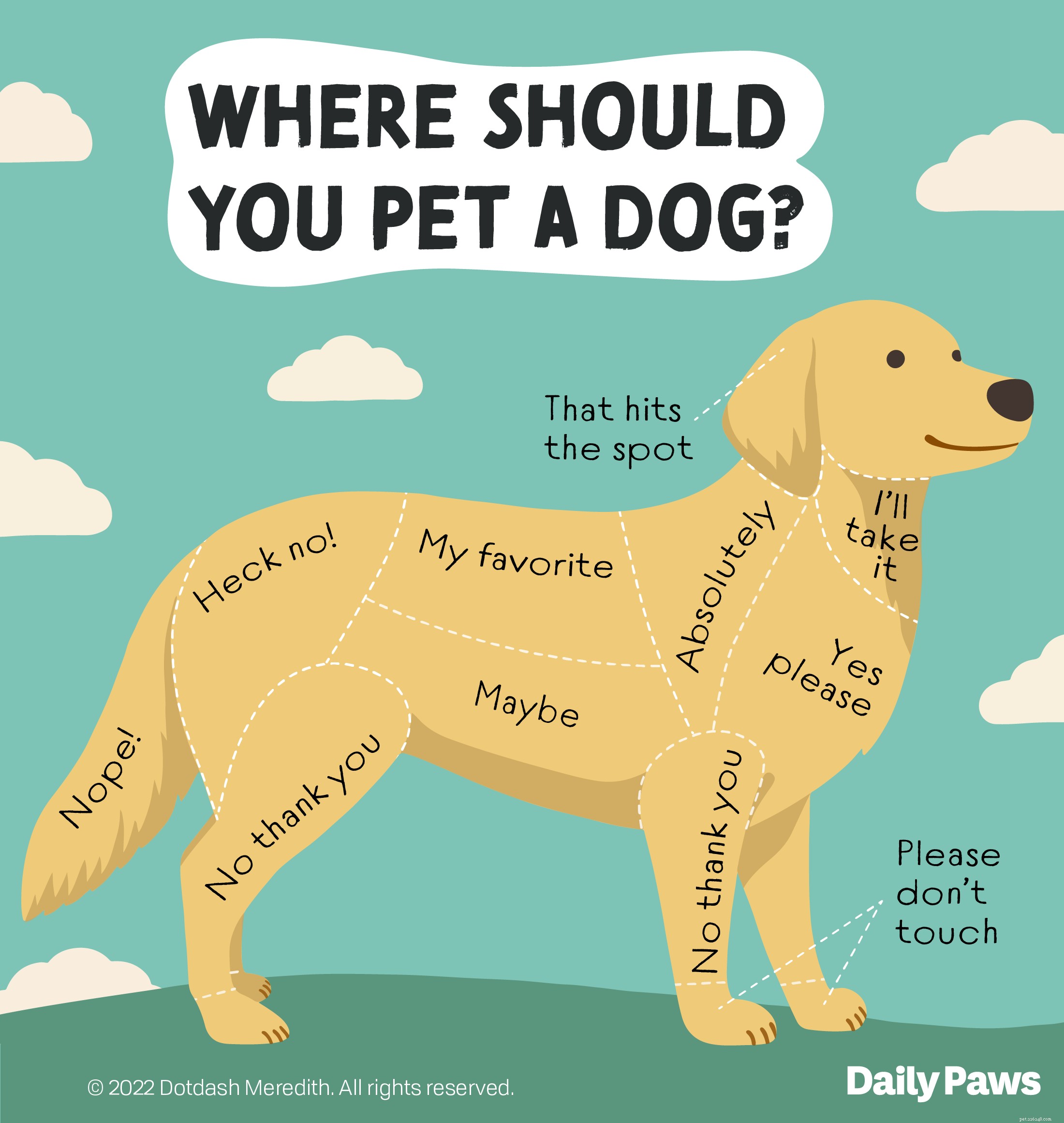 How to Properly Pet a Dog: A Trusted Guide to Enhancing Your Dog’s Well‑Being