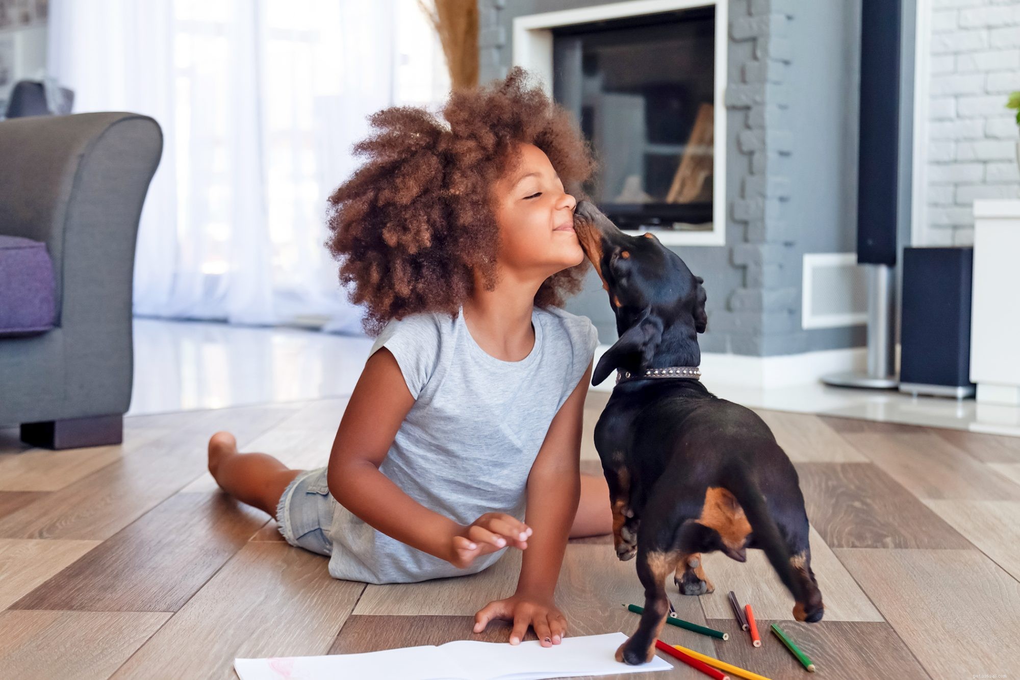 Do Dogs Truly Like Kisses? Expert Insights into Their Preferences