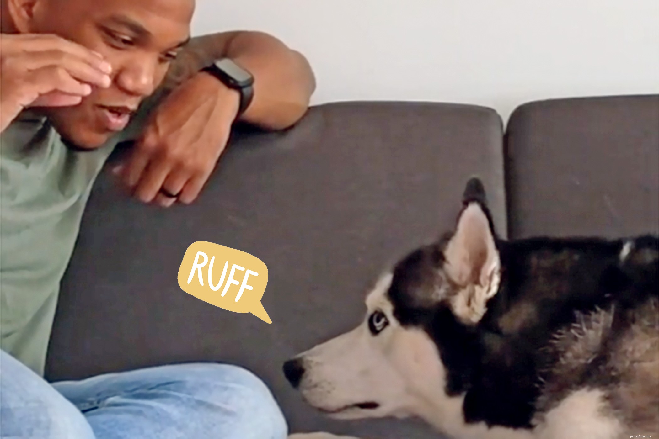 Dog Dad Teaches Talkative Husky to Whisper in Adorable TikTok Video
