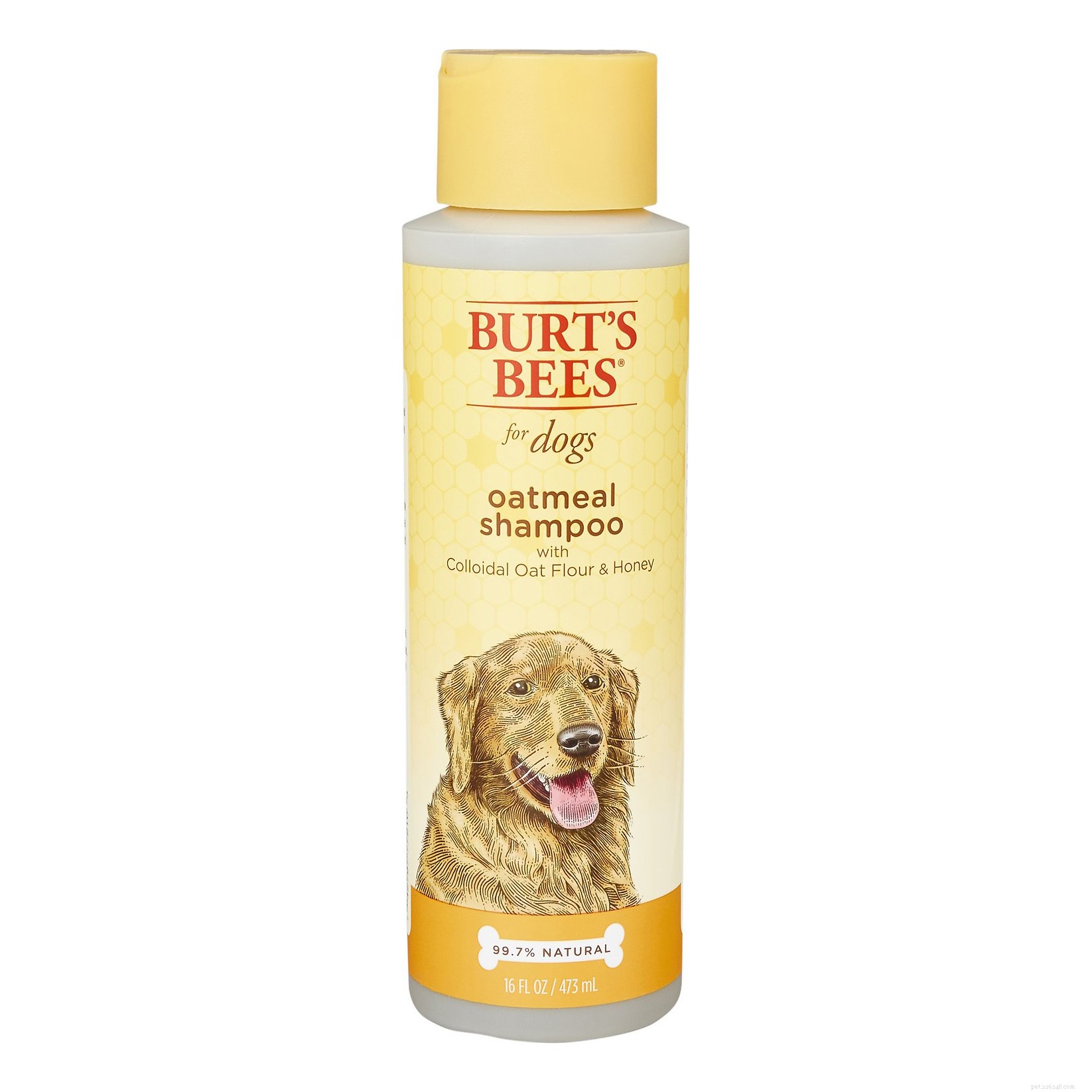 Is Dawn Dish Soap Safe for Dogs? Expert Verdict & Safer Alternatives