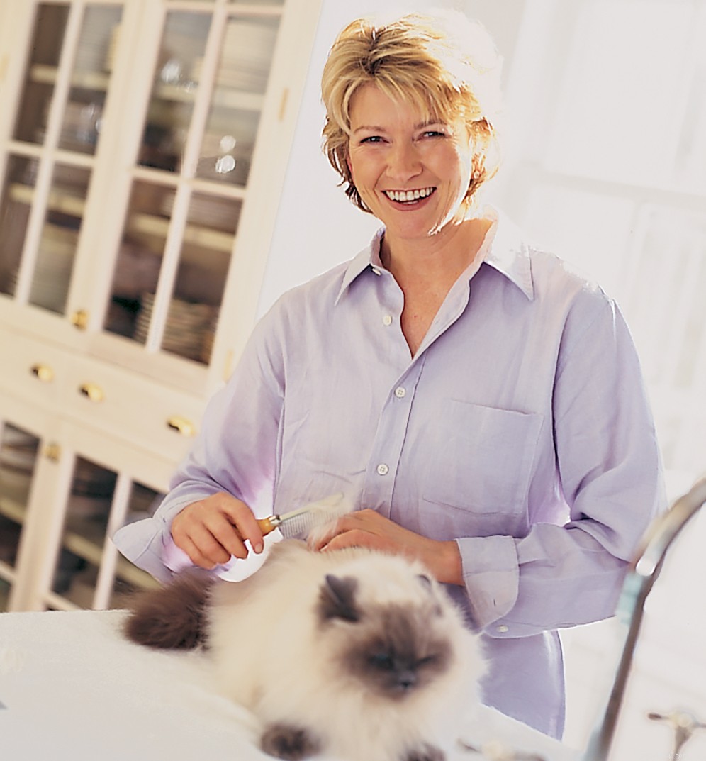 When and How to Bathe Your Cat: A Practical Guide