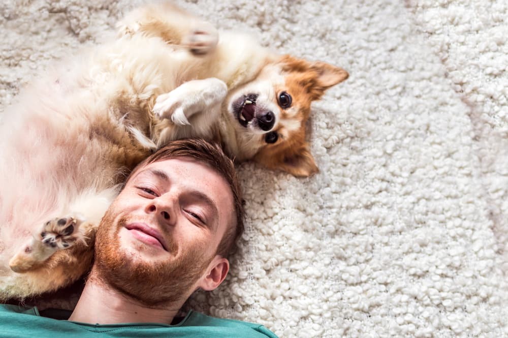 Understanding and Managing Addison’s Disease in Dogs: Symptoms, Diagnosis, and Care