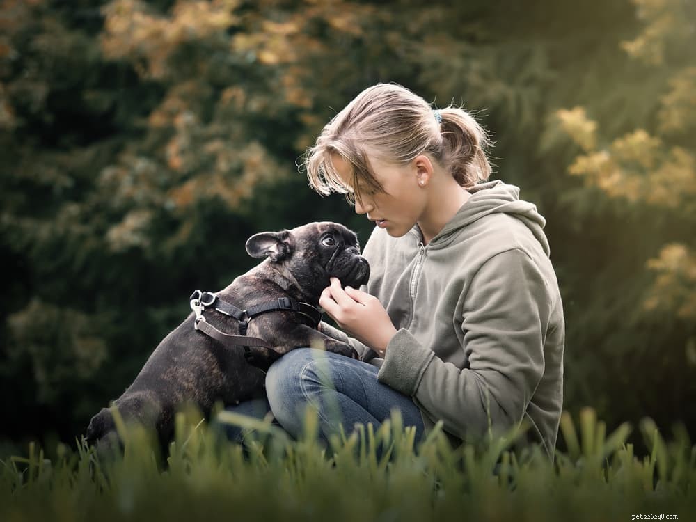 Understanding Reverse Sneezing in Dogs: Causes, Symptoms, and When to Seek Veterinary Care