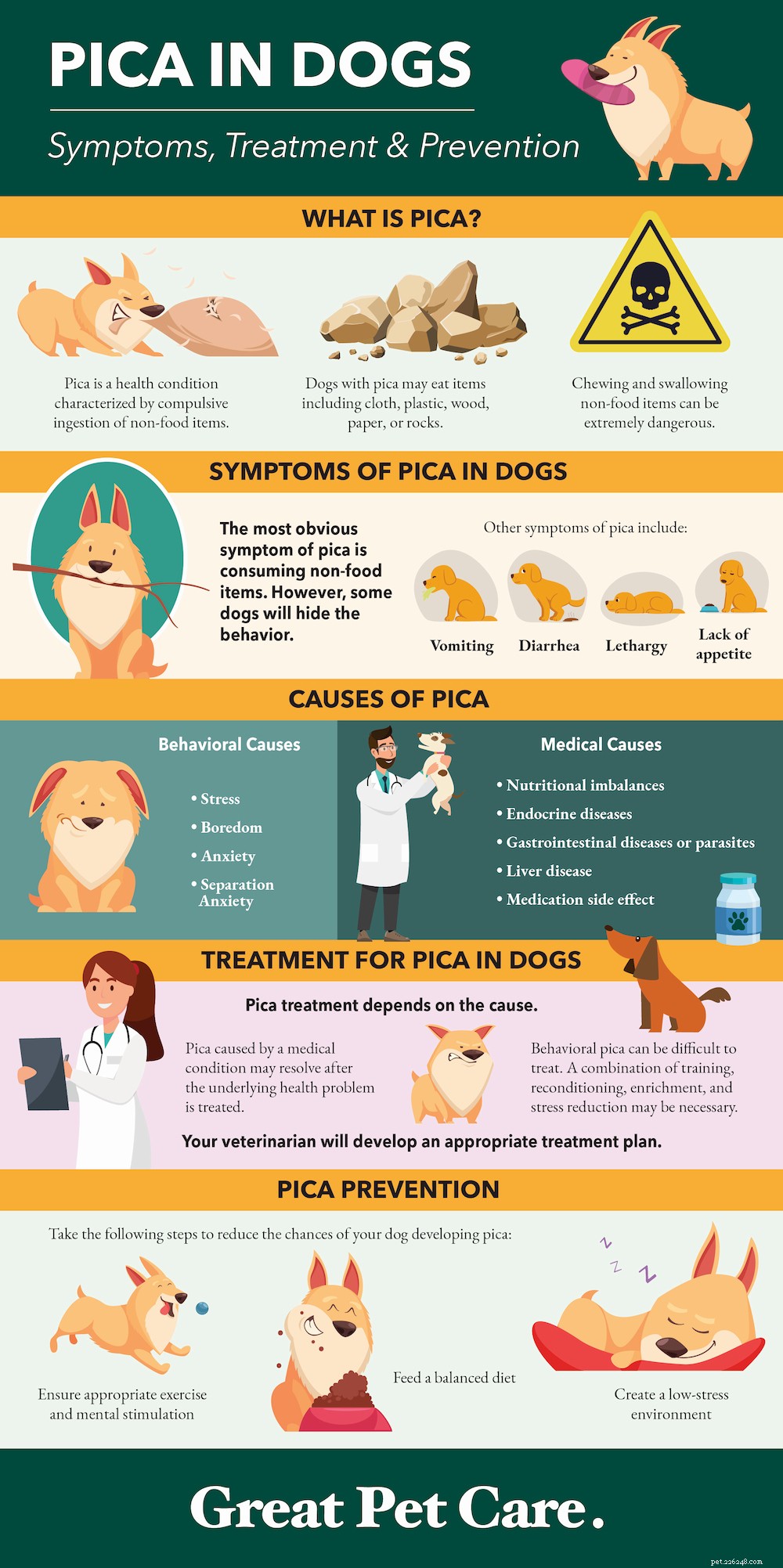 Pica in Dogs: Causes, Symptoms, and Effective Treatments