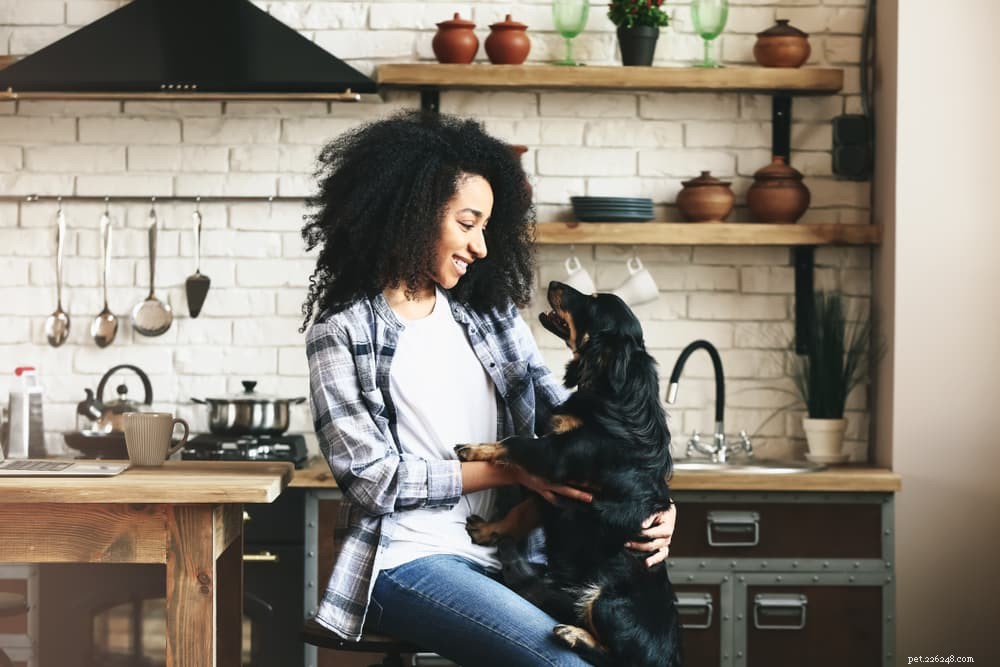 Understanding Autoimmune Diseases in Dogs: Symptoms, Diagnosis, and Long-Term Care