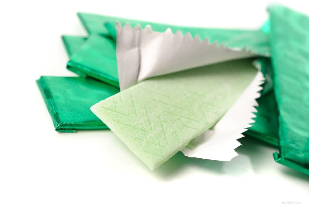 Beware: Xylitol Poisoning in Dogs – Symptoms, Prevention & Treatment