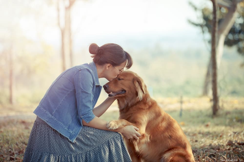 Understanding Brain Tumors in Dogs: Symptoms, Diagnosis & Treatment