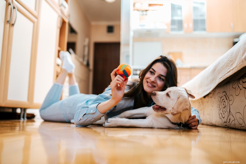 Preventing and Treating Intestinal Obstruction in Dogs